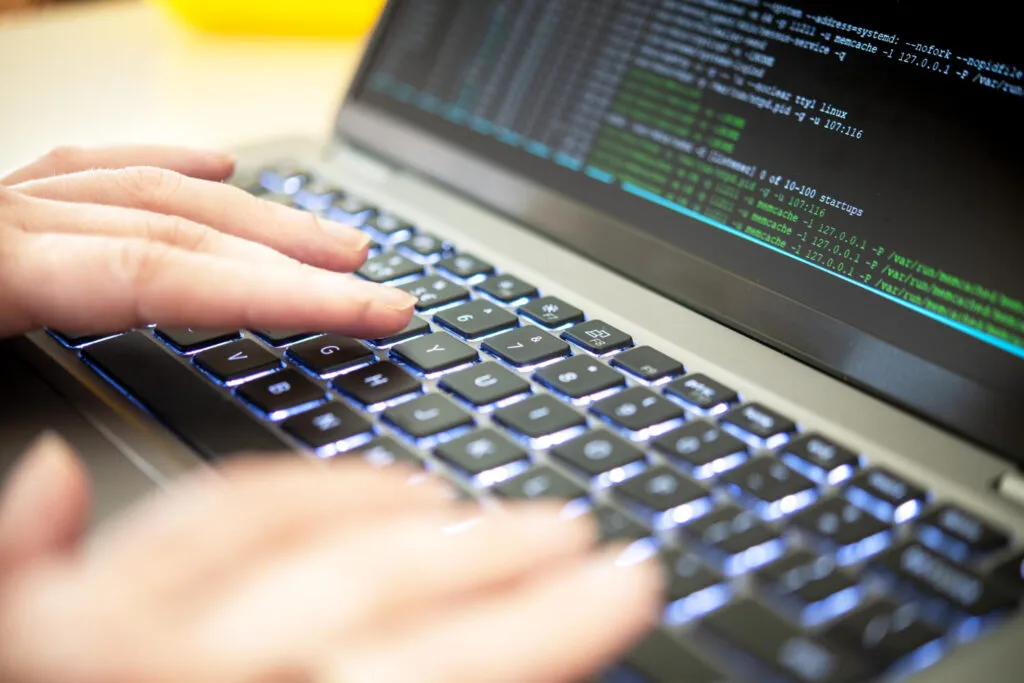 Programowanie - usługi informatyczne Poznań
